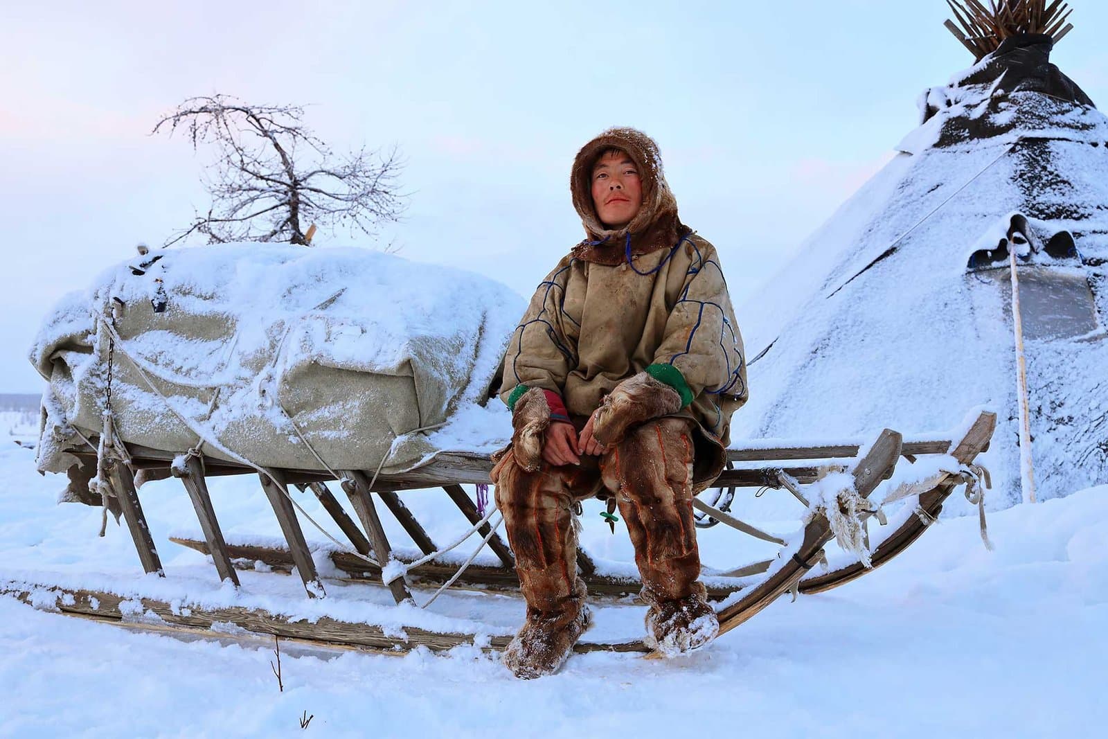 The Arctic Journey of the Nenets